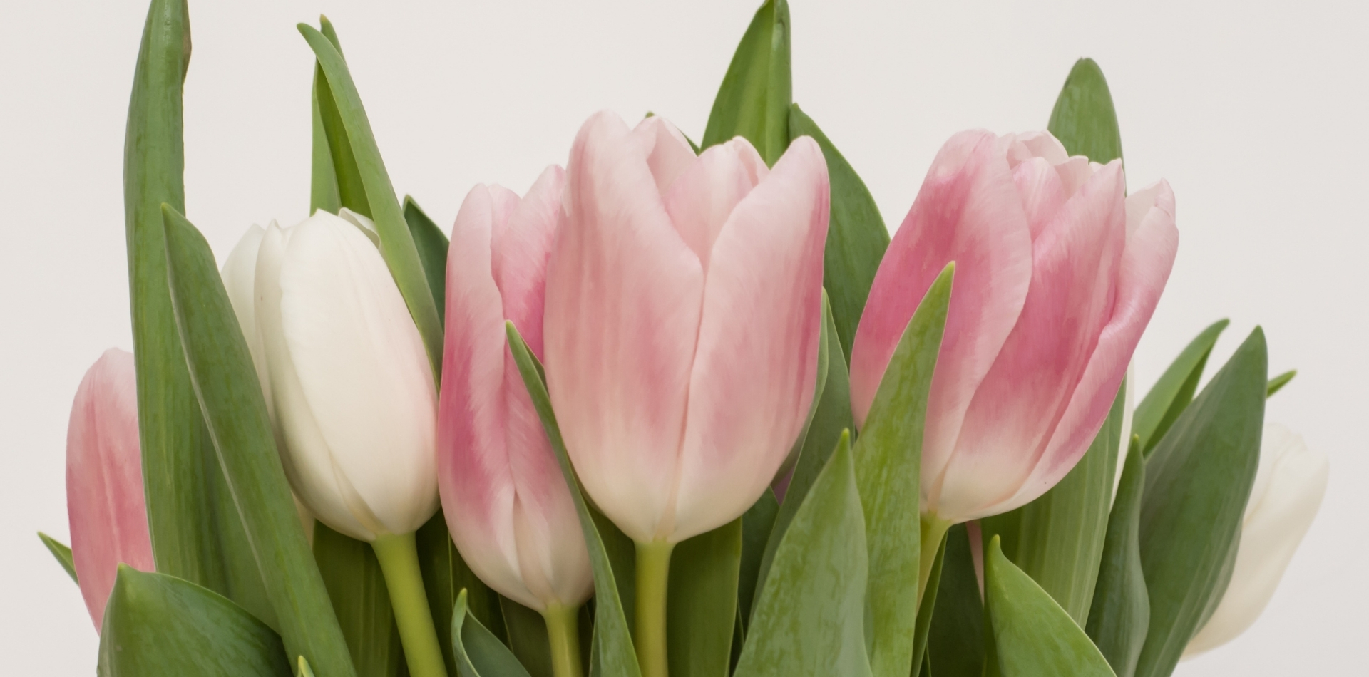 Florists & Sweets